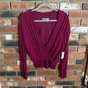 NWT Anthropologie Burgundy Knit Sweater